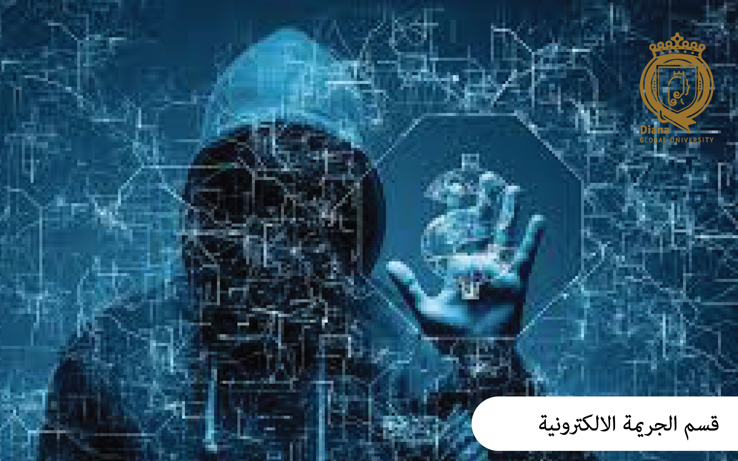 الجرائم الالكترونية